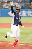「喜ぶカナリオ　プロ野球」の画像1