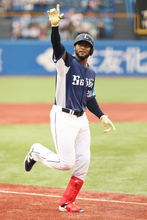喜ぶカナリオ　プロ野球