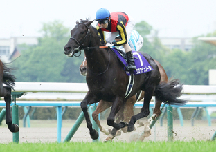 クロワデュノール３枠５番＝競馬宝塚記念
