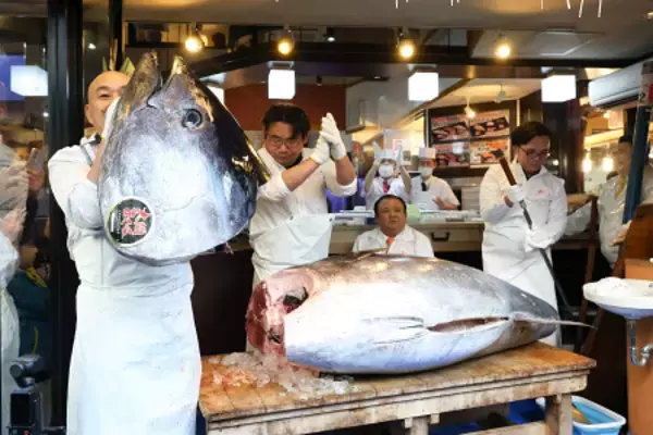鮮度抜群、５億円の大間マグロ
