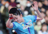 「決勝の張本美　全日本卓球」の画像1