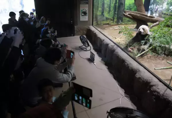 パンダ返還「寂しい」、長蛇の列