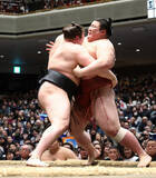 「新大関安青錦、単独トップ」の画像1