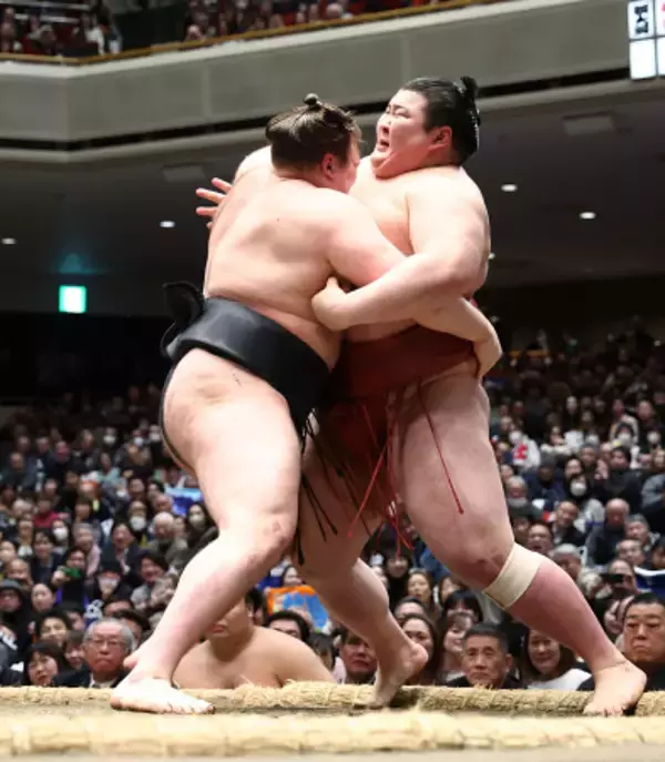 新大関安青錦、単独トップ