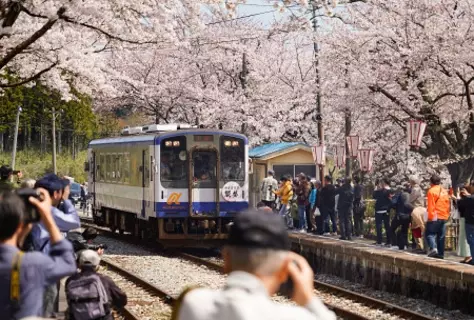能登さくら駅に花見客