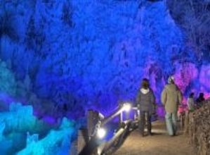 見頃を迎えた氷の芸術