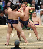 「豊昇龍の押し出し」の画像1