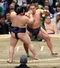 豊昇龍の押し出し