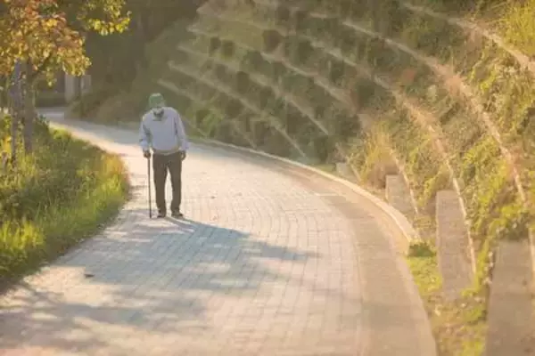 高齢者窓口負担改革が焦点＝年齢区分・所得基準見直し案―年度内に制度設計・与党社保協議