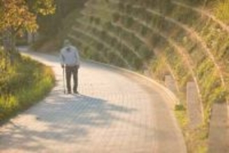 高齢者窓口負担改革が焦点＝年齢区分・所得基準見直し案―年度内に制度設計・与党社保協議