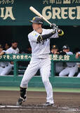 「阪神の近本が実戦復帰　プロ野球」の画像1