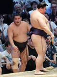「敗れた豊昇龍」の画像1