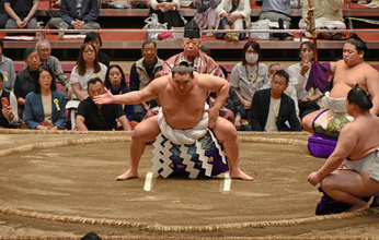 横綱豊昇龍の土俵入り