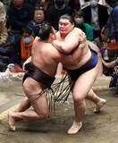 「大の里、４連敗免れる＝トップに安青錦ら３人―大相撲初場所１１日目」の画像1