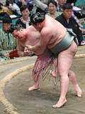 「炎鵬の下手投げ」の画像1
