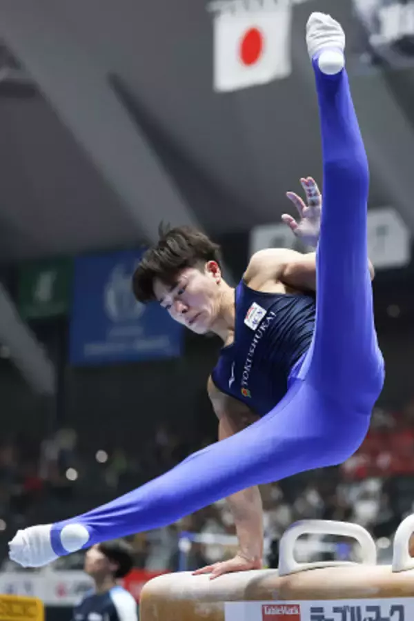 岡のあん馬　全日本体操