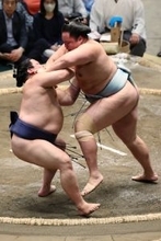 琴勝峰の押し倒し