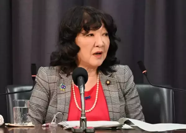 給付付き税額控除も同時並行