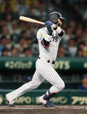 「木浪の同点打　プロ野球」の画像1