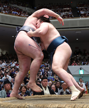 安青錦の寄り切り