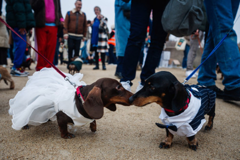 寄付金集めなど実施