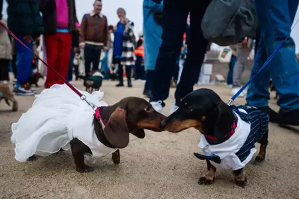 着飾ってお散歩