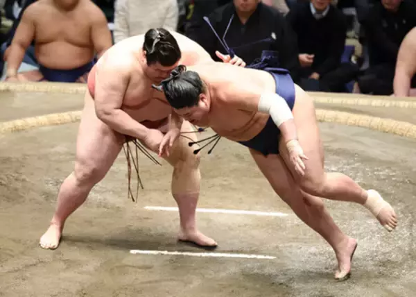 熱海富士、花開く予感＝大きな体生かし―大相撲初場所