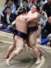 若隆景、盤石の内容＝大相撲夏場所