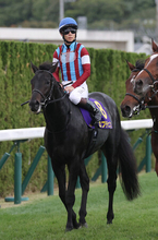 ロブチェン、まさかの惨敗＝競馬菊花賞
