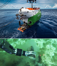 生物群がる鯨骨、世界最深記録＝インド洋の水深６７８９メートル―有人潜水船で発見・中国研究所