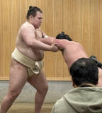 「安青錦「まだ強くなれる」＝大相撲」の画像1