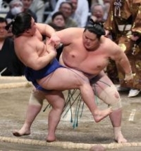 琴桜の押し倒し