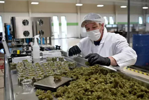 大麻の規制緩和に署名