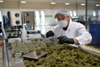 大麻の規制緩和に署名