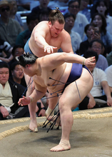 敗れる大の里
