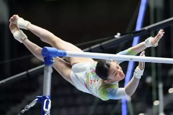 西山の段違い平行棒