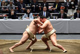 「豊昇龍、横綱初Ｖなるか＝大関復帰の霧島にも注目―大相撲夏場所」の画像1