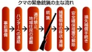 クマ駆除巡り自治体支援＝「緊急銃猟」、有償でマニュアル策定―ＭＳ＆ＡＤ