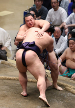 敗れた翔猿