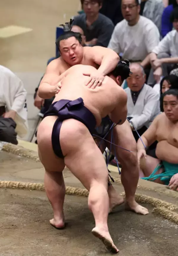 敗れた翔猿