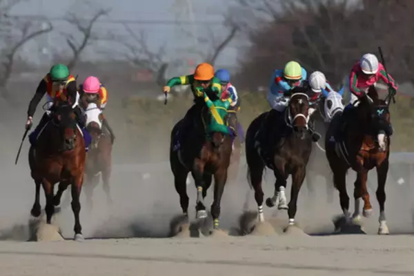 コスタノヴァ、壁乗り越え連覇＝競馬フェブラリーステークス