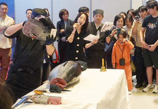 日韓おまつりでマグロ解体ショー