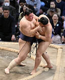 「義ノ富士の寄り切り」の画像1