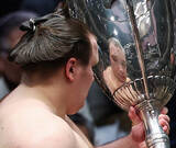 「安青錦が２場所連続Ｖ」の画像1