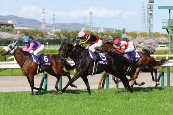 優勝したクロワデュノール