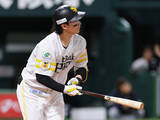 「逆転２ランの正木　プロ野球」の画像1