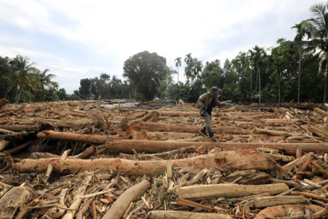 豪雨被害、森林破壊で拡大か
