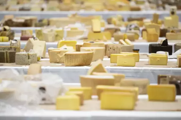 世界に挑むチーズたち