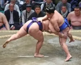 藤ノ川のはたき込み