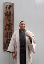 寿之富士、目標は２桁白星＝大相撲